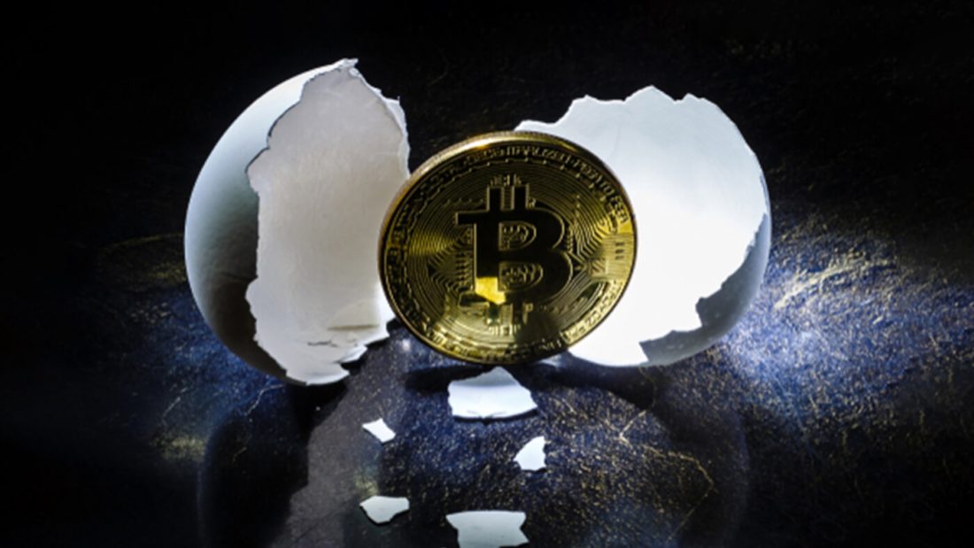 bitcoin pioneer of cryptocurrencies