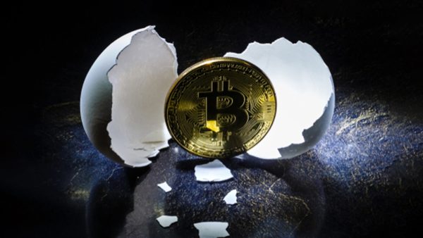 bitcoin pioneer of cryptocurrencies