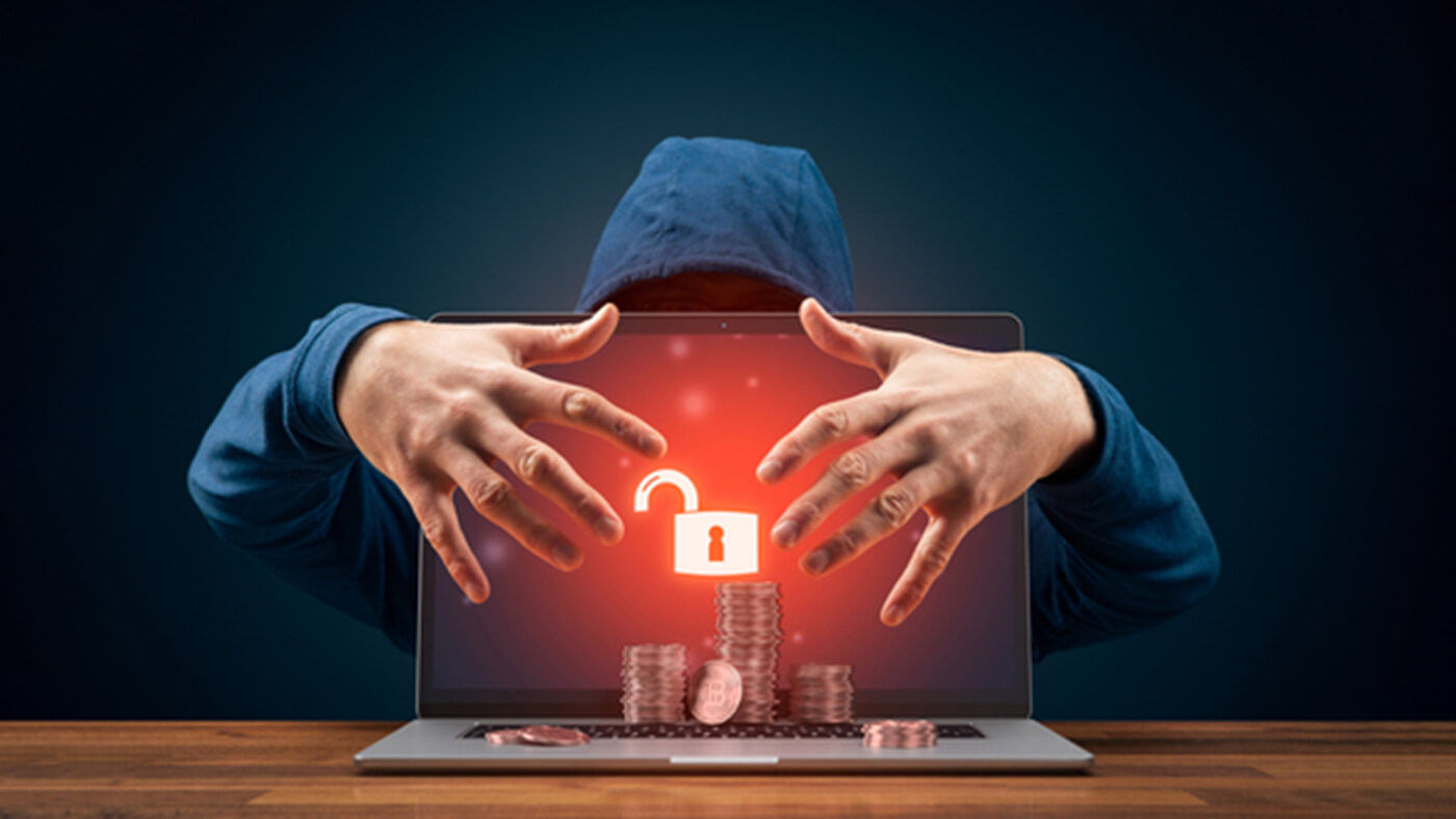 bitcoin pioneer of cryptocurrencies