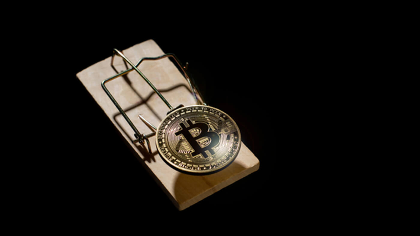 risk versus reward of cryptocurrencies