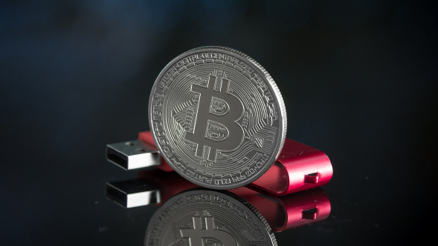 wallets of cryptocurrency