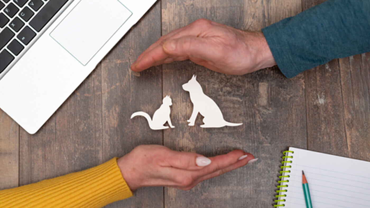 Pet Insurance